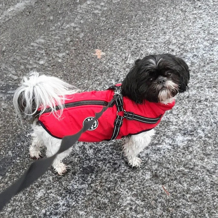 Y/A | Dog Jacket.