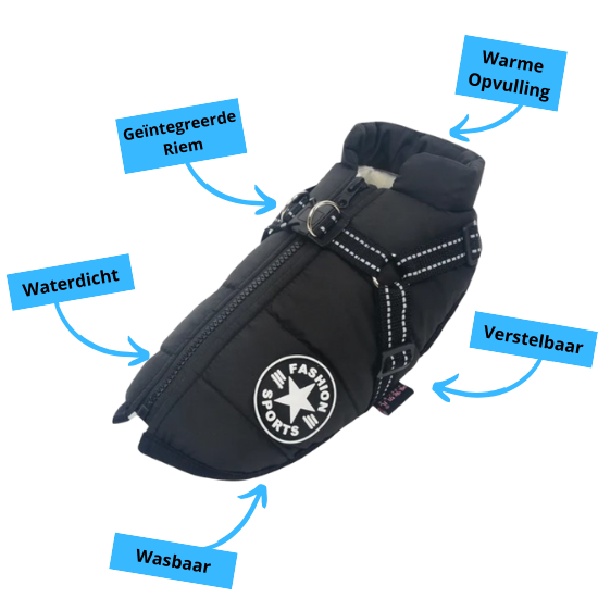 Y/A | Dog Jacket.