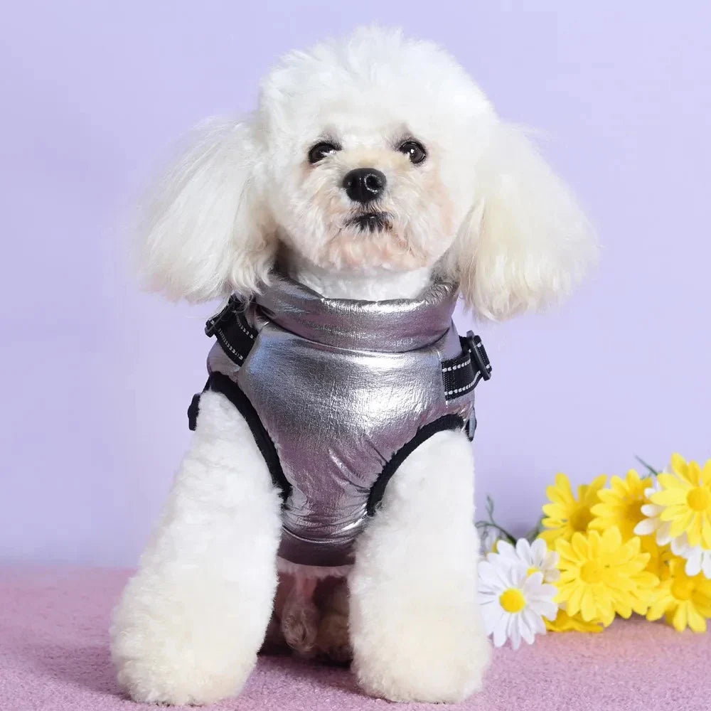 Y/A | Dog Jacket.