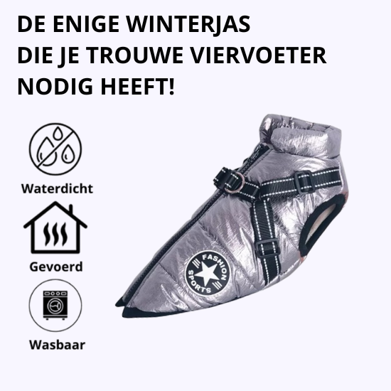 Y/A | Dog Jacket.