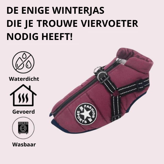 Y/A | Dog Jacket.