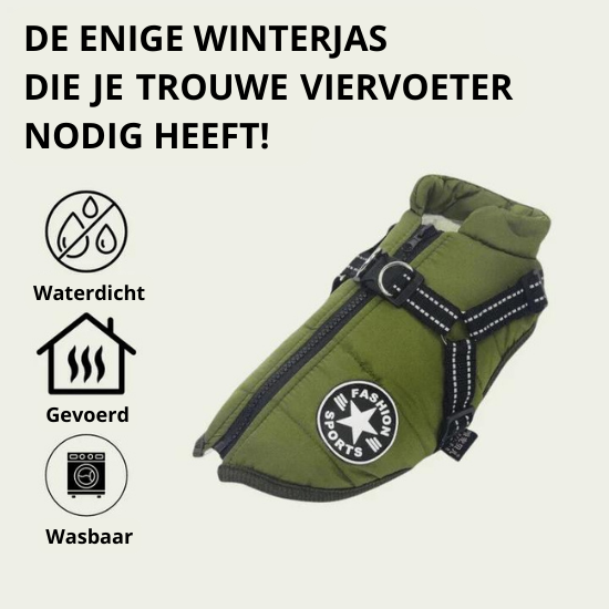 Y/A | Dog Jacket.