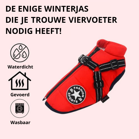 Y/A | Dog Jacket.