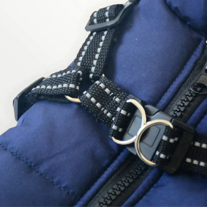 Y/A | Dog Jacket.