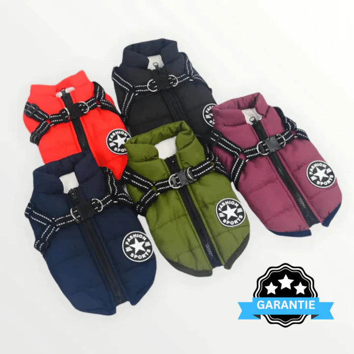 Y/A | Dog Jacket.