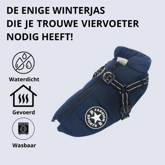 Y/A | Dog Jacket.