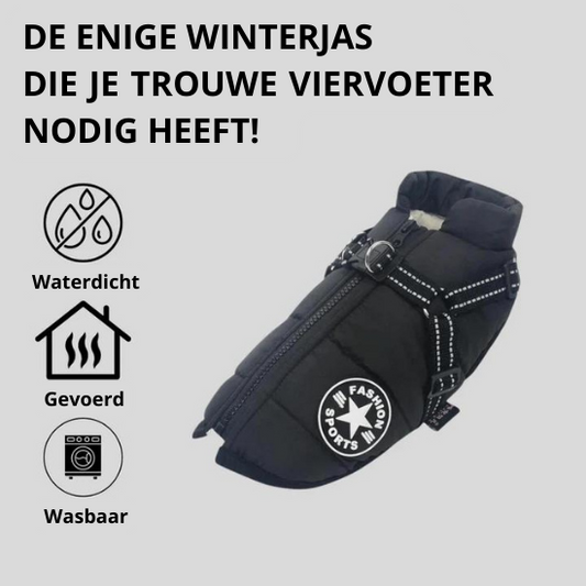 Y/A | Dog Jacket.
